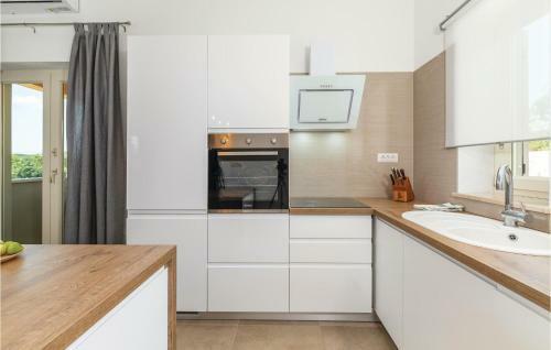 Three-bedroom Holiday Home In Visnjan