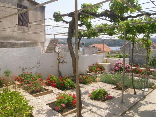 Apartment Jurin Eva