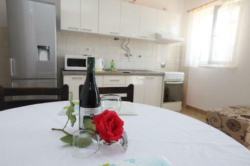 Apartment Davorka