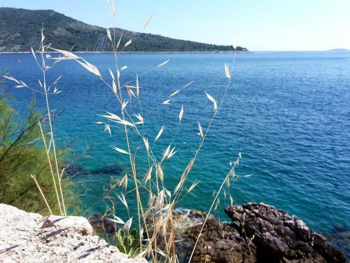 Apartment Primosten Adiomare
