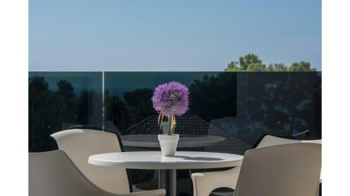Apartments Leone
