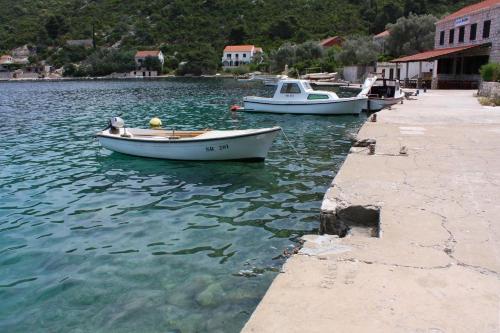 Seaside Holiday House Prozurska Luka (mljet) - 4946