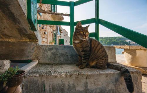 Holiday Apartment Prvic 03