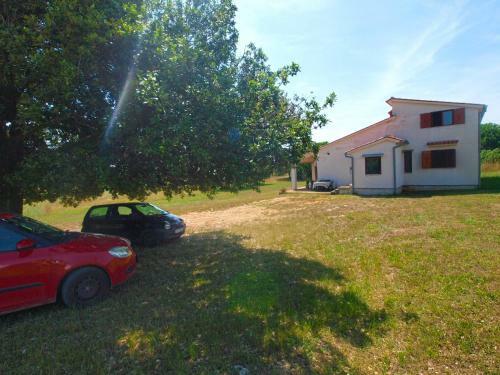 Apartment Goga 1429