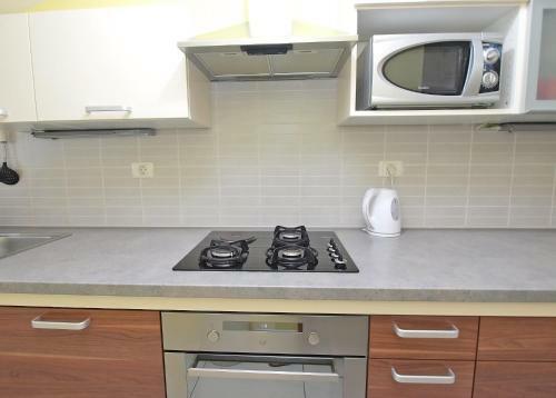 Apartment Darko 1439