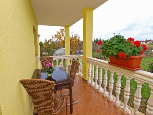 Apartments Jure 978