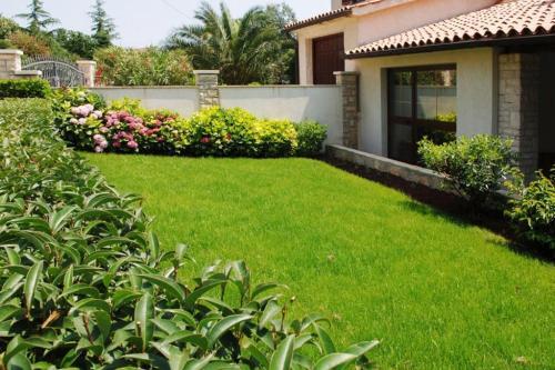 Apartment Premantura 2299a
