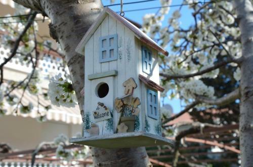 Apartamentos One4all