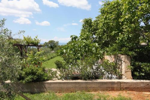 Apartment Punat 5373b