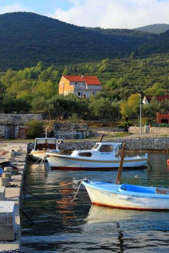 Apartments By The Sea Kneza (korcula) - 9164