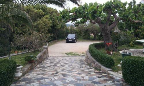 Apartments With A Parking Space Kampor (rab) - 14841
