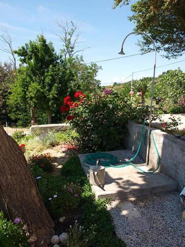 Apartment Lopar 16389a