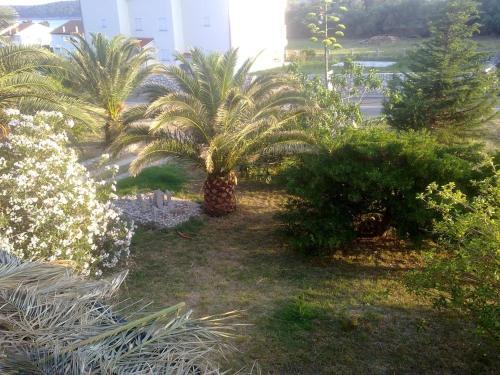 Apartment Banjol 15463b