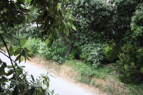 Apartments With A Parking Space Supetarska Draga - Gonar (rab) - 4987