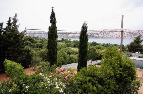 Apartamentos Studio Barbat 5015a