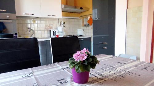 Apartment Barbat 4988b