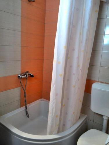 Apartments And Rooms With A Swimming Pool Kampor (rab) - 12773