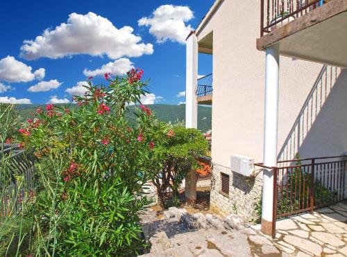 Apartments Katica 1078