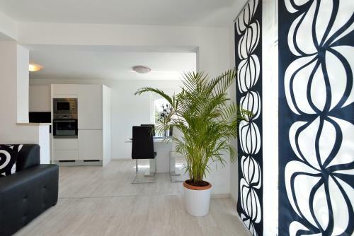 Apartment Panorama