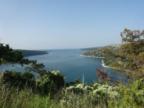 Holiday Home Peninsula