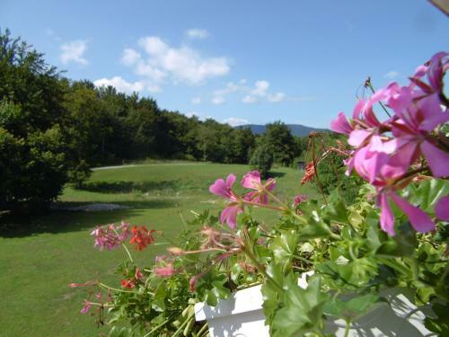 Bed & Breakfast House Biba & Leona