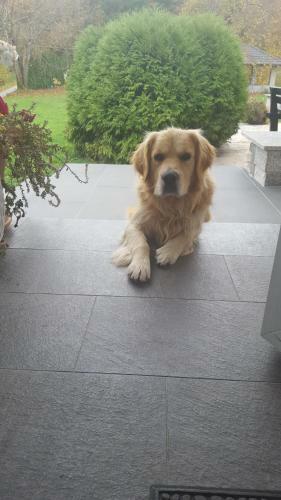 Bed & Breakfast House Biba & Leona