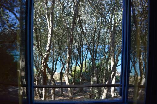 Agroturismo Dove's House