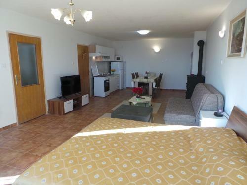 Apartments In Ravni/istrien 30442