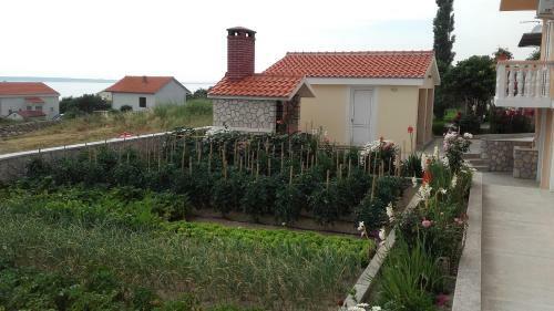 Apartments With A Parking Space Rtina - Miocici (zadar) - 13072