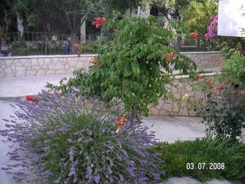 Apartment Ljubac 14593b