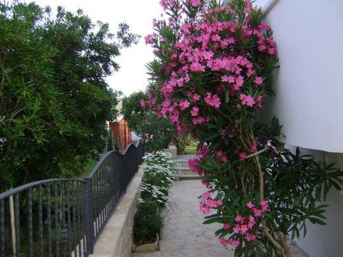 Apartamentos Studio Ljubac 14593b