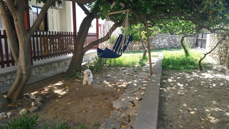 House Ana