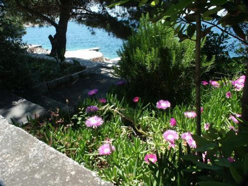 Apartments By The Sea Razanj (rogoznica) - 2054