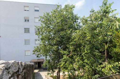 Apartment Babic