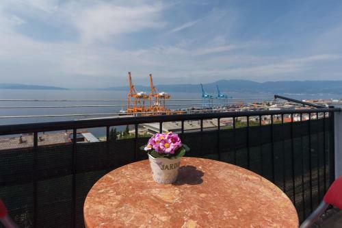 Apartment Babic