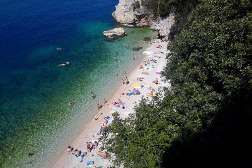 Apartamentos Studio Rijeka 15901b