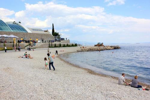 Apartments With Wifi Rijeka - 7825