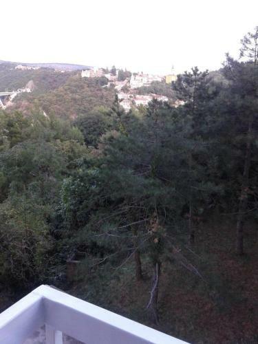 Apartments With Wifi Rijeka - 13261