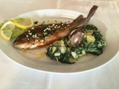 Bed & Breakfast Pansion Odmor