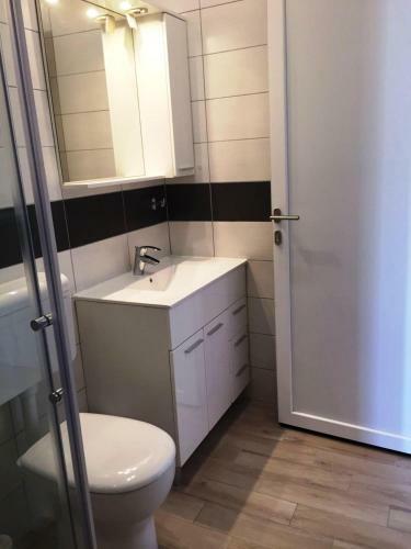 Goga Mare Apartment