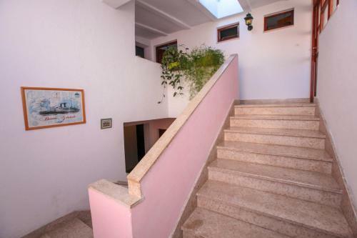 Apartamento Villa Radojka