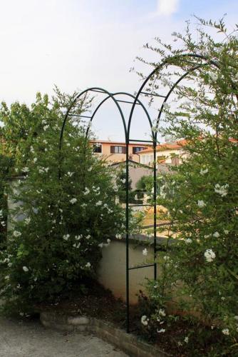 Apartment Rovinj 2401c