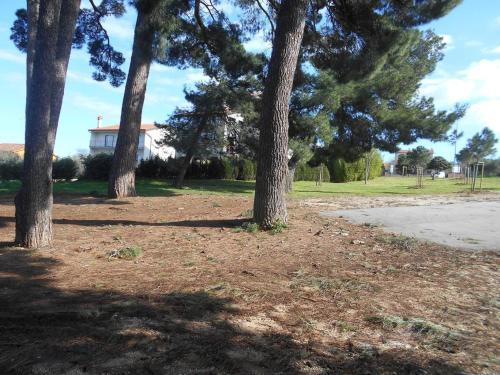 Hostal Rooms By The Sea Rovinj - 13591