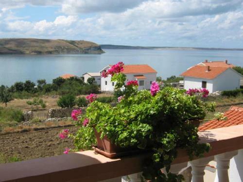 Apartments Adria