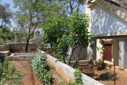 Apartment Sali 8152b