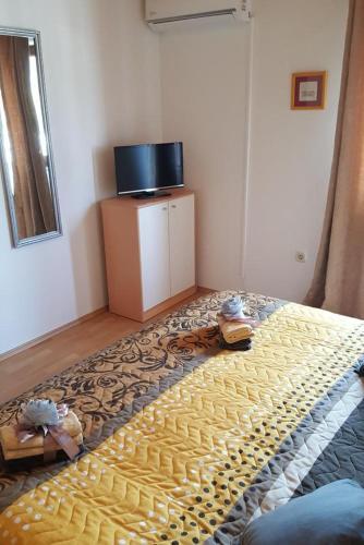 Apartment Sali 890c