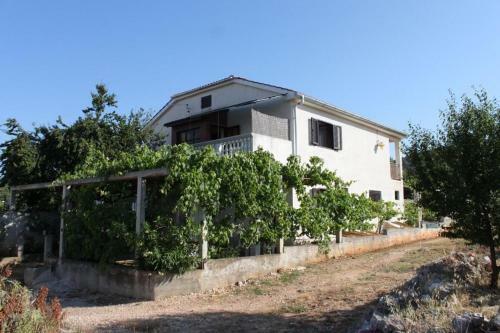 Apartment Sali 910c