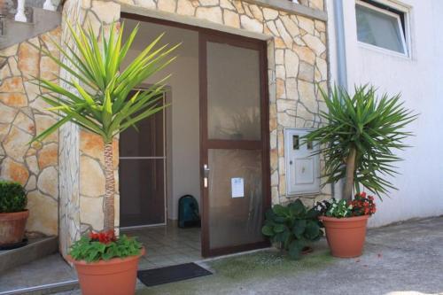 Apartment Sali 8084b