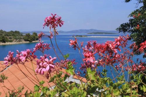 Apartments By The Sea Zaglav (dugi Otok) - 8191
