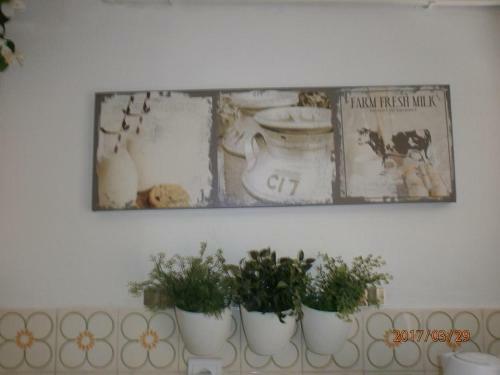 Apartment Samobor 12869a
